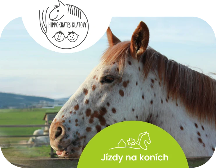 Jízdy na koních spolku Hippokrates na Biofarmě Skřivánek
